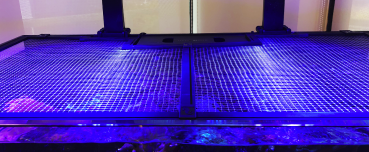 Red Sea Net Cover - Aquariennetzabdeckung